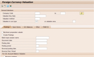 Foreign Currency Revaluation 